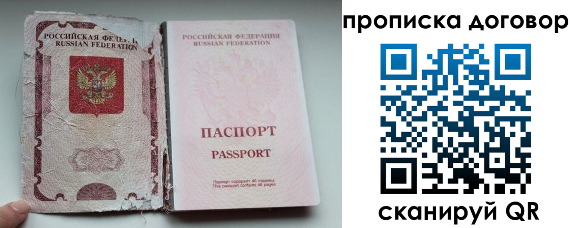 прописка поиск в Бабаево